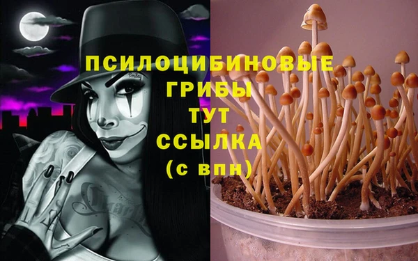 бошки Нефтекумск