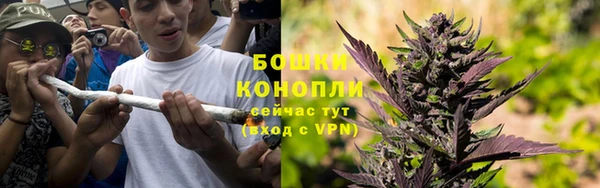Альфа ПВП Нея